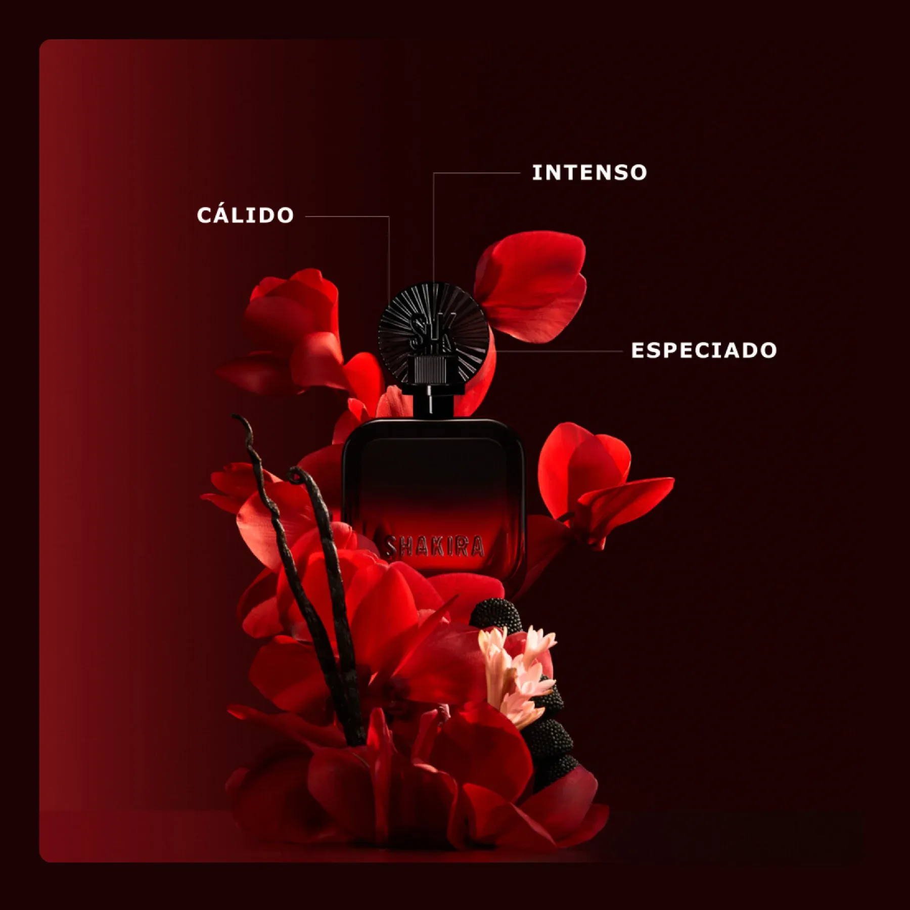 ROJO GERAL